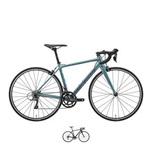 MERIDA _ 2026Nf SCULTURA RIM 100 XNgD[100 2x8s [hoCN A~[hoCN tJ[{tH[N Shimano Claris  Lp[u[L y I[Eh S