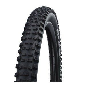 SCHWALBE シュワルベ ハンスダンプ Performance 29x2.35(60-622) ケブラービード ブラック MTB タイヤ