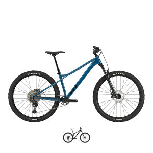 GT W[eB[ 2025Nf ZASKAR LT ELITE UXJ[ LT AC G[g 29 MTB }EeoCN