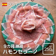 【スペイン産】9ヶ月熟成 ハモンセラーノ 250g 生ハム ワインに 大特価