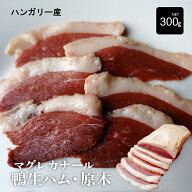 【ハンガリー産】マグレカナール 鴨生ハム 原木 300g【業務パック】 カモ生ハム 合鴨