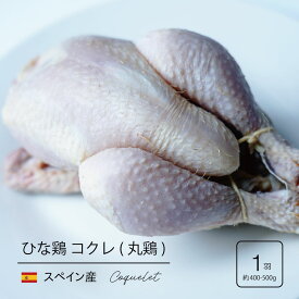スペイン産 ひな鶏 コクレ 1羽（約400g-450g）丸鶏 中抜きプーサン クリスマス ローストチキン