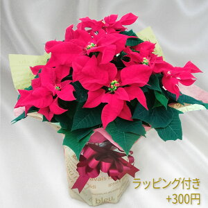 A|CZ`Au 6bhvAAΕANX}XMtgAv[gp̃MtgɍœKBWIȎdĂł荠i bos6