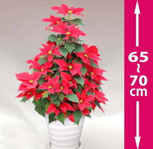 A|CZ`A 7 70cm̃^[^EԁΕANX}XMtgAv[gp̃MtgɍœKB70Z`̃^[^CvARpNgŏꏊI΂NX}X̏t