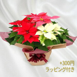 A|CZ`A uNX^7vΕANX}XMtgAv[gp̃MtgɍœKBЂƔ3F񂹐A~ȎdāBmix7