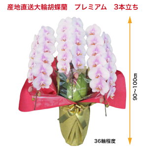 @Yn֌Ӓ@v~A@3{@36ֈȏ@33,000~@p@JXj@j@vHj@ACj@j@Ε@