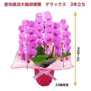 @Yn֌Ӓ@fbNX@3{@33ֈȏ@25,000~@p@JXj@j@vHj@ACj@j Ε@