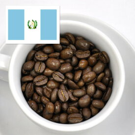 有機グァテマラ　珈琲料理人が作ったきれいなコーヒー　オアシス珈琲　飯塚市　飯塚ブランド認定　特許製法　レギュラーコーヒーストレート　200g