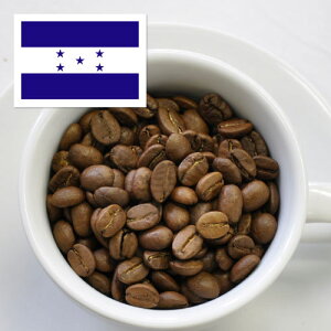 zWX@藿lꂢȃR[q[@IAVX@ђˎs@ђ˃uhF@@@M[R[q[Xg[g@200g