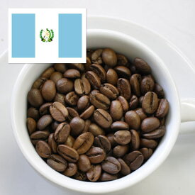 グァテマラ　珈琲料理人が作ったきれいなコーヒー　オアシス珈琲　飯塚市　飯塚ブランド認定　特許製法　レギュラーコーヒーストレート　200g