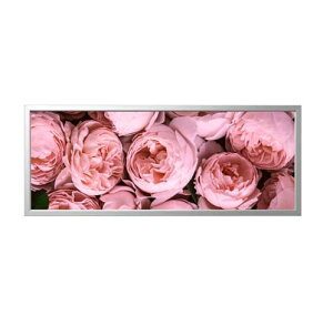 IKEACPA@BJRKSTA rNX^140x56cm A[g t[t, F̃VNN, A~J[y 292.978.35z