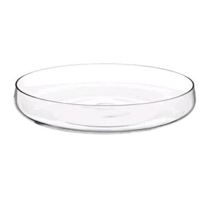 IKEA BERKNA ベレークナボウル, クリアガラス26 cm803.290.41【メール便不可】