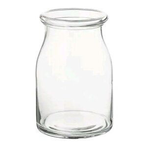 IKEA BEGRLIG ベジェールリグ29 cm 花瓶, クリアガラス103.097.82【メール便不可】