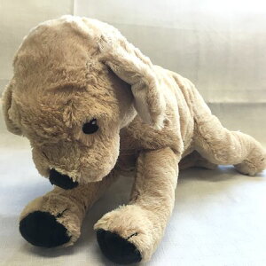 IKEA CPA GOSIG GOLDEN \tggC CG[ MTCY CPS 501.693.41 y[֕sz