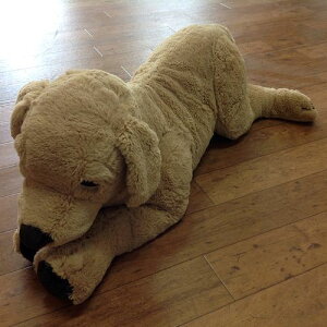 IKEA GOSIG GOLDEN CPA \tggC, CG[ Ck, S[fgo[ LTCY CPS 301.693.42 y[֕sz