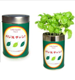 【栽培セット】　リトルガーデン　バジルチャンカワイイ緑を育てませんか？