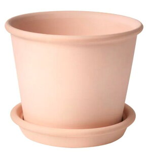 yNEWzIKEA CPA MUSKOTBLOMMA XRbgu}Aؔ 󂯎Mt, /Op eRb^15 cm904.548.93