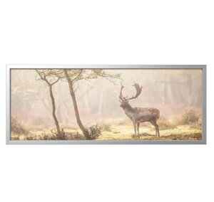 yNEWzIKEA CPABJRKSTA rNX^A[g t[t, X̒̋󂫒n̎/A~J[140x56 cm293.847.00