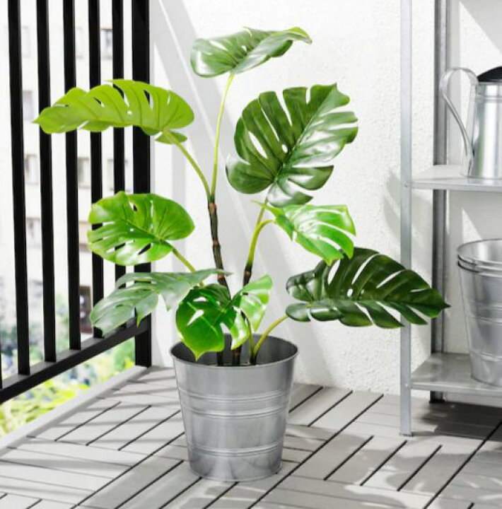 楽天市場 New Ikea イケアfejka フェイカ人工観葉植物 室内 屋外用 モンステラ 19 Cm403 952 93 日本オアシス株式会社