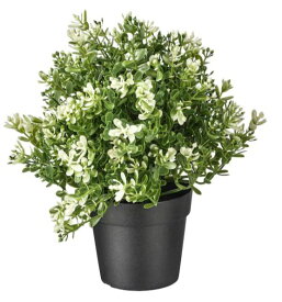 【NEW】IKEA イケアFEJKA フェイカ人工観葉植物, タイム, 9 cm403.751.67