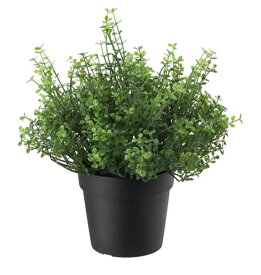 楽天市場 Ikea 人工観葉植物の通販