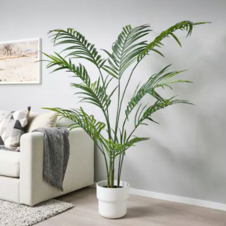 楽天市場】IKEA イケア FEJKA フェイカ人工観葉植物, 室内/屋外用 