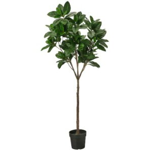 IKEA CPA FEJKA tFCJlHϗtA, /Op N23 cm 104.933.65