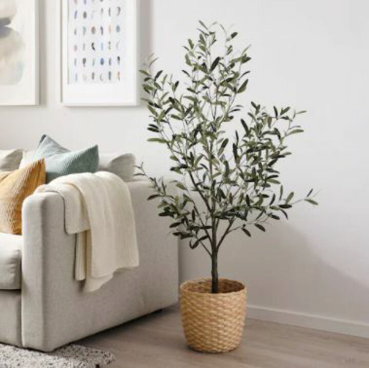 楽天市場 Ikea イケア Fejka フェイカ人工観葉植物 室内 屋外用 オリーブ19 Cm 005 064 86 日本オアシス株式会社