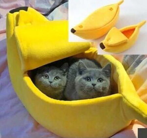 �y�b�g �L ���o�i�i �\�t�@�x�b�h YYRB302 8482755�y�b�g �� �C�k ���� �˂� �L �l�R �ɂ�� �x�b�g �N�b�V���� �l�R�p ���L �l�R�̂���K�� �l�R�Ƃ̕�炵