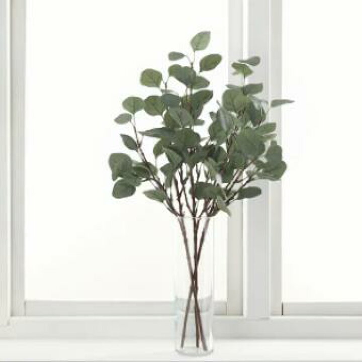 楽天市場 New Ikea イケアsmycka スミッカフェイクリーフ ユーカリ グリーン65 Cm003 357 72 日本オアシス株式会社 楽天市場 New Ikea イケアsmycka スミッカフェイクリーフ ユーカリ グリーン65 Cm003 357 72 日本オアシス株式会社
