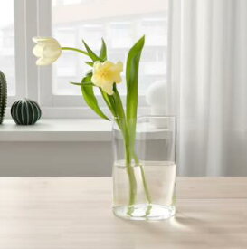 【NEW】IKEA イケアCHILIFRUKT チリフルクト花瓶/じょうろ, クリアガラス21 cm804.922.54