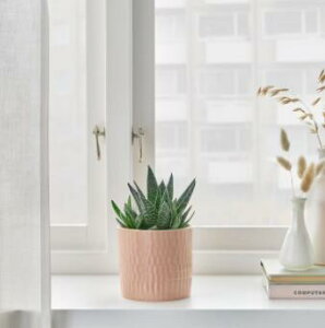 IKEA CPA CHIAFRON V[At[Jo[, /Op y[sN9 cm 205.054.38