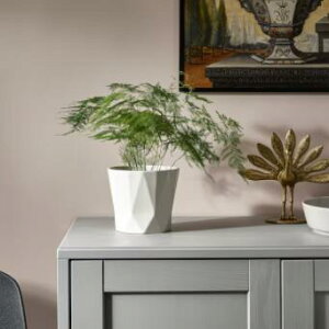 IKEA CPA RAPSFRO vXt[Jo[, /Op ItzCg12 cm 305.054.33