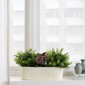 IKEA CPA APPELROS GbyXJo[, /Op/ItzCg ȉ~`9 cm504.783.63