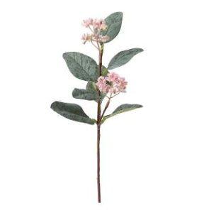 yNEWzIKEA ikeaSMYCKA X~bJ , [J/sN, 30 cm104.098.47IKEÃCeA