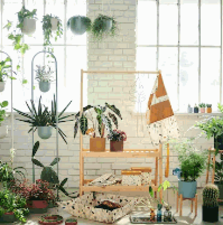 楽天市場】【NEW】IKEA ikeaDAKSJUS ダクシュース 鉢カバー2個 楽天市場】【NEW】IKEA ikeaDAKSJUS ダクシュース 鉢カバー2個