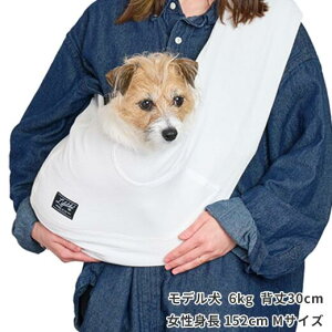 T[}Xgb`XOzCgM/L (L)ApEEFAEVcꂵĂo