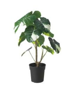 yNEWzIKEA ikeaFEJKA tFCJ lHϗtA, /Op NYC, 19 cm005.599.55̋Ԃ