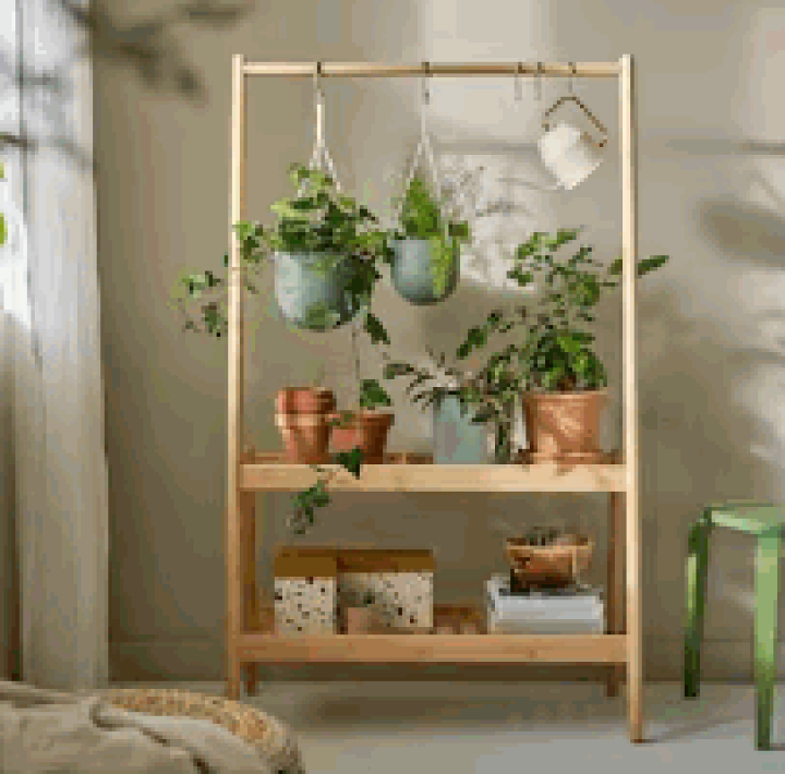 楽天市場】【NEW】IKEA ikeaDAKSJUS ダクシュース プラント 楽天市場】【NEW】IKEA ikeaDAKSJUS ダクシュース プラント