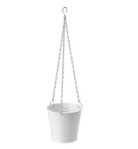 yNEWzIKEACASHEWAPPLE JVEGbv nMOv^[, /Op zCg, 12 cm604.683.54