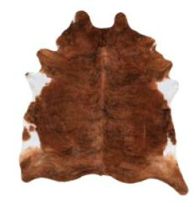 yNEWzIKEA ikea CPA KOLDBY R[hr[JEnCh, uE802.229.31