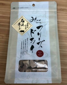 y3pbNẑ݂t@[ t[YhC Ό|[N45gx3 fdiwmpk453 ybgt[h