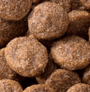 JPX^C a̋ Lp ZNgwXPA tK[h  1.4kgyLbgt[hzyybgzLp ybgpi Lpi  t[h Lpt[h