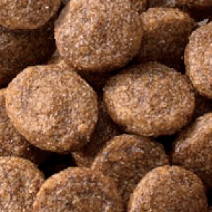 JPX^C a̋ Lp ZNgwXPA AHK[h JVE 1.4kgyLbgt[hzyybgzLp ybgpi Lpi  t[h Lpt[h