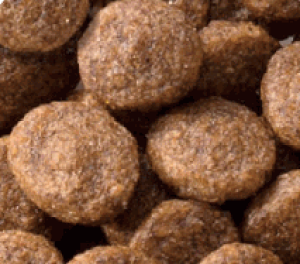 JPスタイル 和の究み 猫用 セレクトヘルスケア 腎臓ガード チキン味 200g【キャットフード】【ペットおやつ】犬猫用 ペット用品 犬猫用品 おやつ フード 犬猫用フード