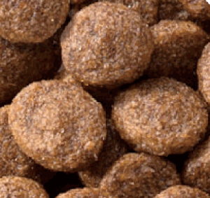 JPX^C a̋ Lp ZNgwXPA tK[h  700gyLbgt[hzyybgzLp ybgpi Lpi  t[h Lpt[h