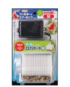 ȎZbg MTCY ybgpi ybg PApi