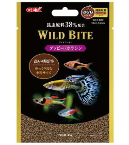 ChoCg Obs[EJV 45gANAt[h