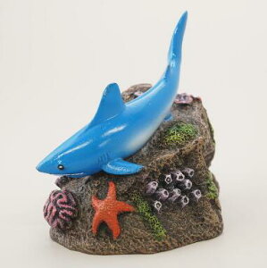 aquaneru@ANAEI[ig@zIWU AQ]025CAEgpi