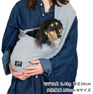 T[}Xgb`XOۃO[M/L (M)ApEEFAEVcꂵĂo